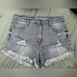 Wallflower size 13 ripped denim shorts